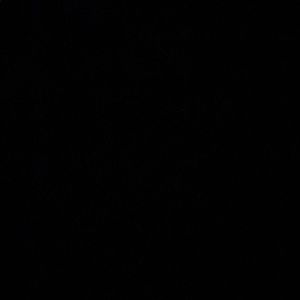 Meet your Posher, Chico